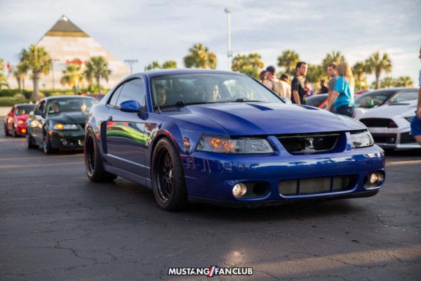 mustang week 16 2016 hard rock cafe car show meet mw16 mustangfanclub mustang fan club svt cobra terminator sonic blue