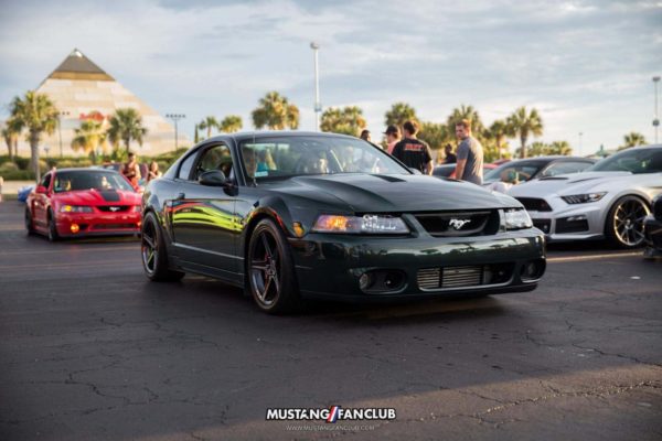 mustang week 16 2016 hard rock cafe car show meet mw16 mustangfanclub mustang fan club cobra svt