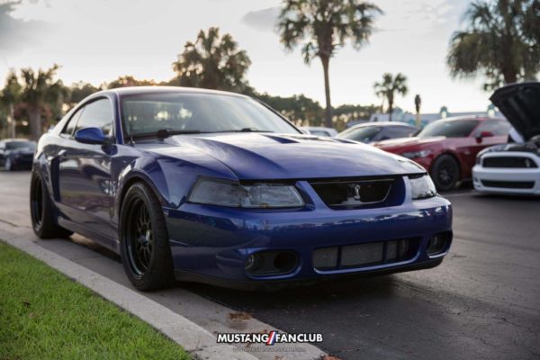 mustang week 16 2016 hard rock cafe car show meet mw16 mustangfanclub mustang fan club sonic blue svt cobra terminator