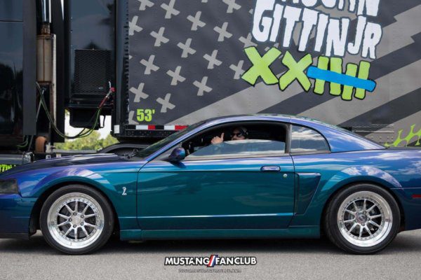 mustang week 2016 mw16 mustangfanclub mustang fan club meet and greet mystichrome svt cobra terminator