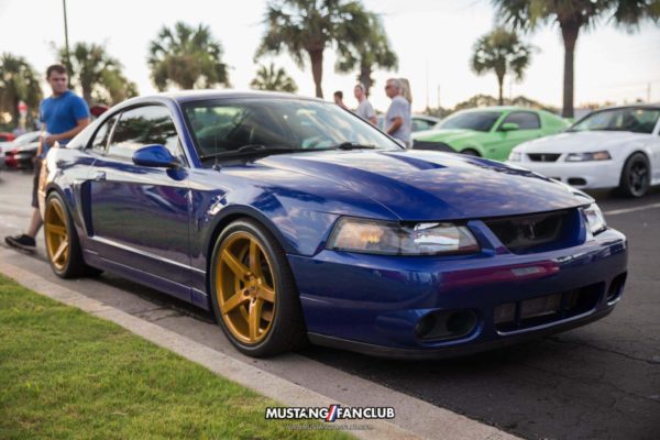 mustang week 16 2016 hard rock cafe car show meet mw16 mustangfanclub mustang fan club sonic blue cobra svt terminator