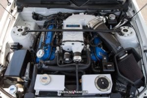 mustang week 2016 mw16 mustangfanclub mustang fan club meet and greet shelby gt500 supercharger supercharged