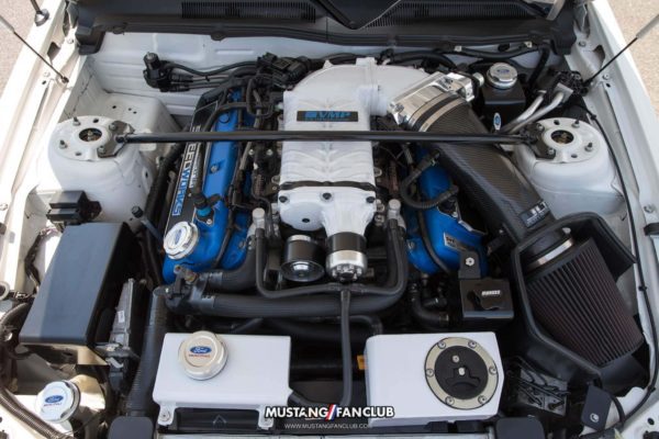 mustang week 2016 mw16 mustangfanclub mustang fan club meet and greet shelby gt500 supercharger supercharged