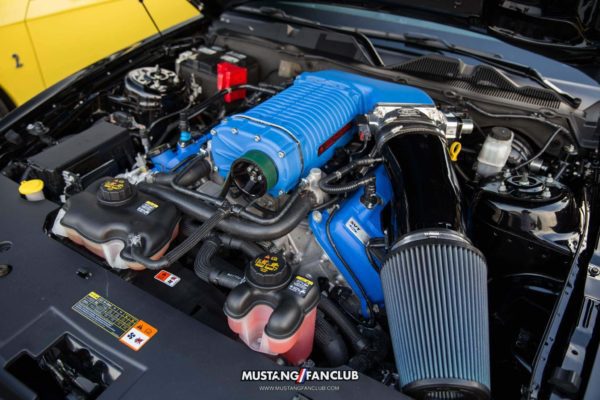 mustang fan club mustangfanclub instagram meet beaver bar mw16 week myrtle beach south carolina whipple supercharger