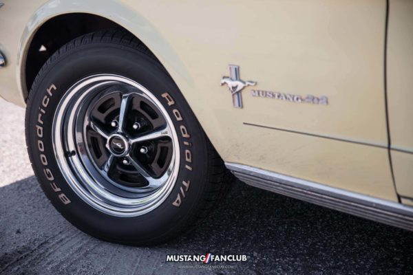 mustang week 2016 mw16 mustangfanclub mustang fan club meet and greet