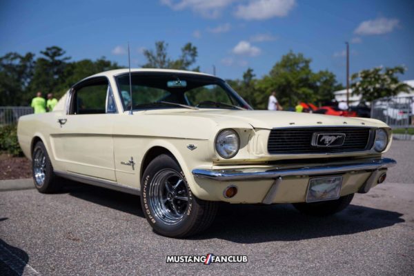 mustang week 2016 mw16 mustangfanclub mustang fan club meet and greet