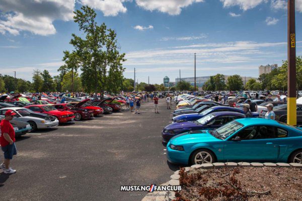 mustang week 2016 mw16 mustangfanclub mustang fan club meet and greet
