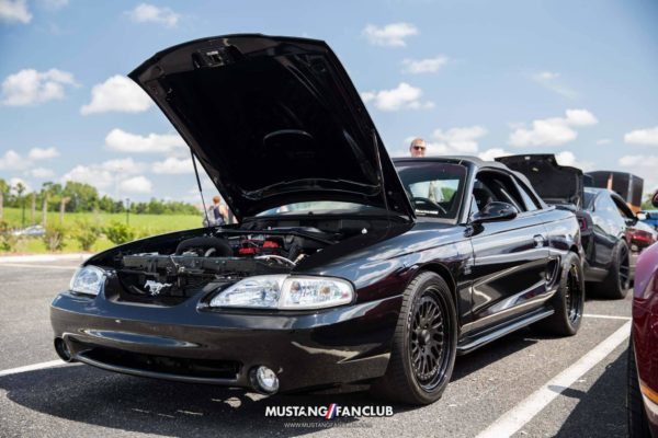 mustang week 2016 mw16 mustangfanclub mustang fan club meet and greet sn95