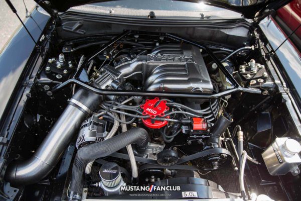 mustang week 2016 mw16 mustangfanclub mustang fan club meet and greet