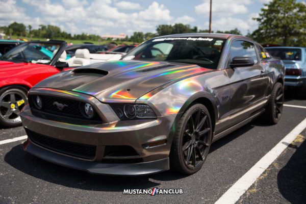 mustang week 2016 mw16 mustangfanclub mustang fan club meet and greet wrapped s197