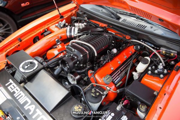 mustang week 2016 mw16 mustangfanclub mustang fan club meet and greet svt cobra