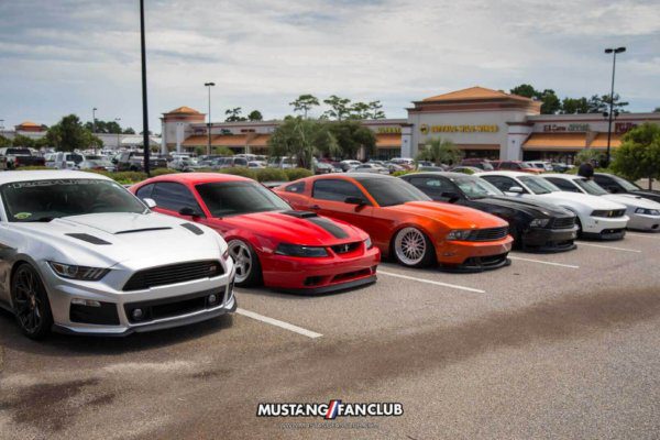 mustang week 16 2016 hard rock cafe car show meet mw16 mustangfanclub mustang fan club