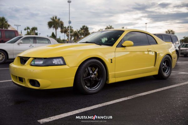 mustang week 16 2016 hard rock cafe car show meet mw16 mustangfanclub mustang fan club screaming yellow svt cobra