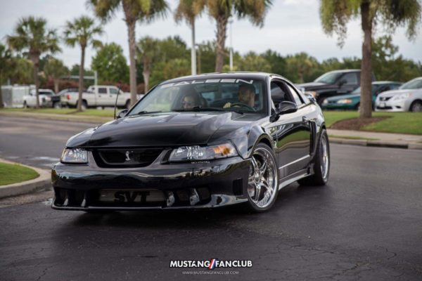 mustang week 16 2016 hard rock cafe car show meet mw16 mustangfanclub mustang fan club
