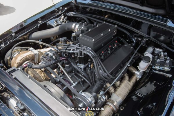 mustang week 2016 mw16 mustangfanclub mustang fan club meet and greet