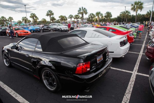 mustang week 16 2016 hard rock cafe car show meet mw16 mustangfanclub mustang fan club