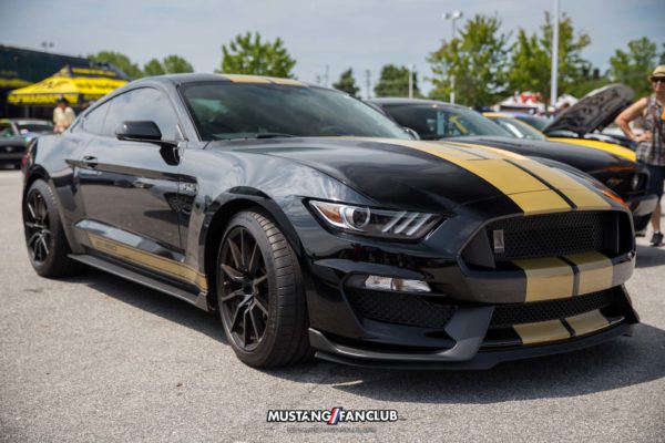Mustang Week 2016 MW16 Mustangfanclub Fan Club photography mustangs car show