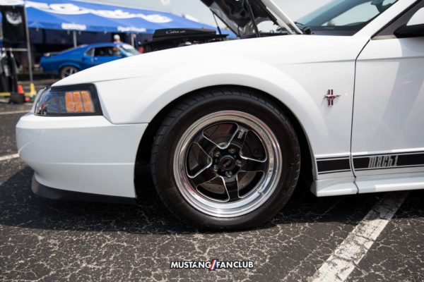 Mustang Week 2016 MW16 Mustangfanclub Fan Club photography mustangs car show mach 1