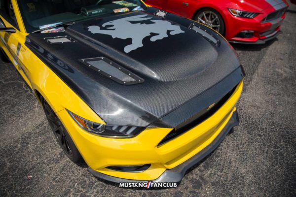 Mustang Week 2016 MW16 Mustangfanclub Fan Club photography mustangs car show