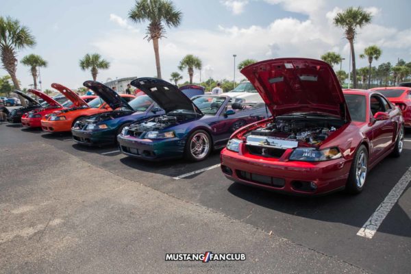 cobra svt mustang week mw17 2017 mustangfanclub meet & greet