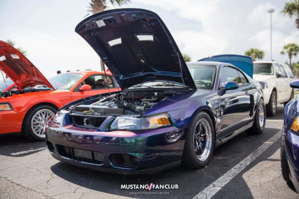 mystichrome cobra svt mustang week 2017 mustangfanclub meet & greet