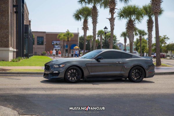shelby gt350 mustang week mw17 2017 mustangfanclub meet & greet