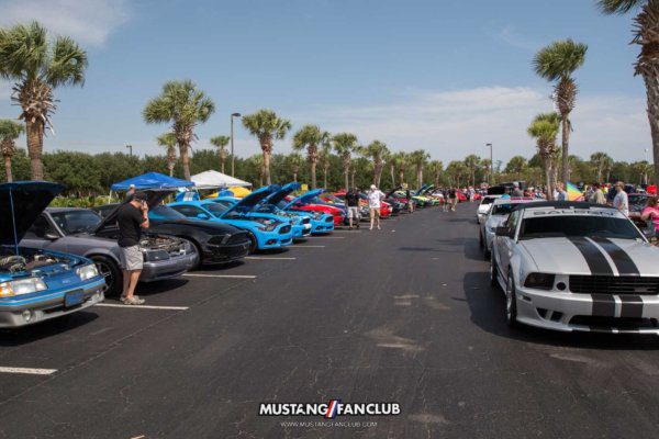 mustang week mw17 2017 mustangfanclub meet & greet