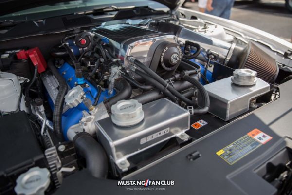 mustang week mw17 2017 mustangfanclub meet & greet myrtle beach south carolina sc s197 s550 gt sn95 new edge super snake kenne bell supercharger