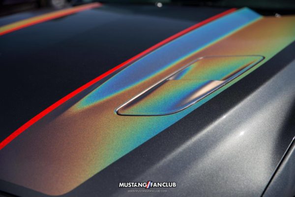 mustang week mw17 2017 mustangfanclub meet & greet myrtle beach south carolina sc s197 s550 gt sn95 new edge
