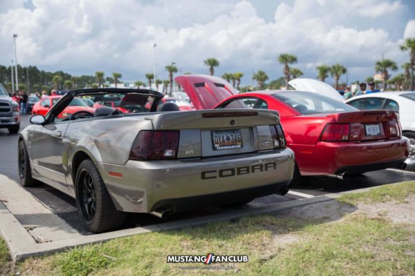 mustang week mw17 2017 mustangfanclub meet & greet myrtle beach south carolina sc s197 s550 gt sn95 new edge