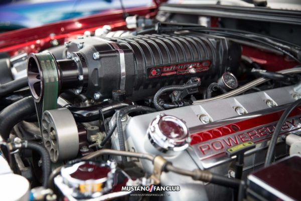 mustang week mw17 2017 mustangfanclub meet & greet myrtle beach south carolina sc s197 s550 gt sn95 new edge
