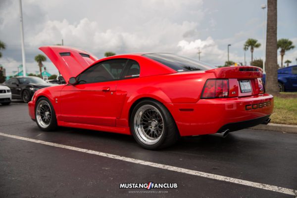 mustang week mw17 2017 mustangfanclub meet & greet myrtle beach south carolina sc s197 s550 gt sn95 new edge