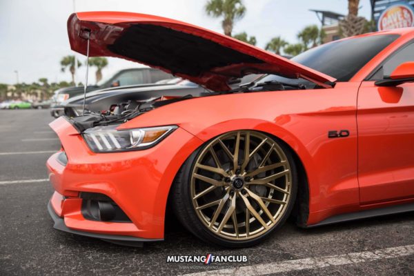 mustang week mw17 2017 mustangfanclub meet & greet myrtle beach south carolina sc s197 s550 gt sn95 new edge