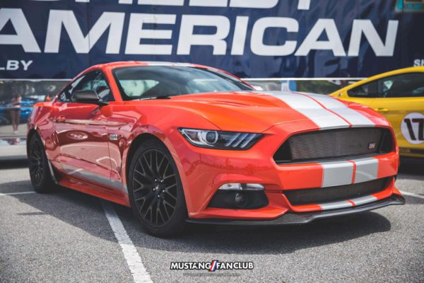 IMG_6084