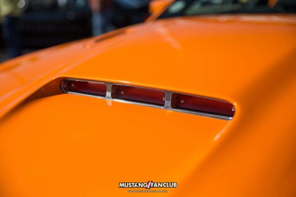 IMG_6367
