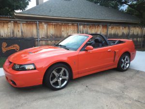 competition orange cobra for sale