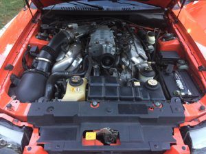 competition orange cobra for sale