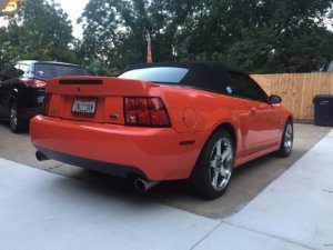 competition orange cobra for sale