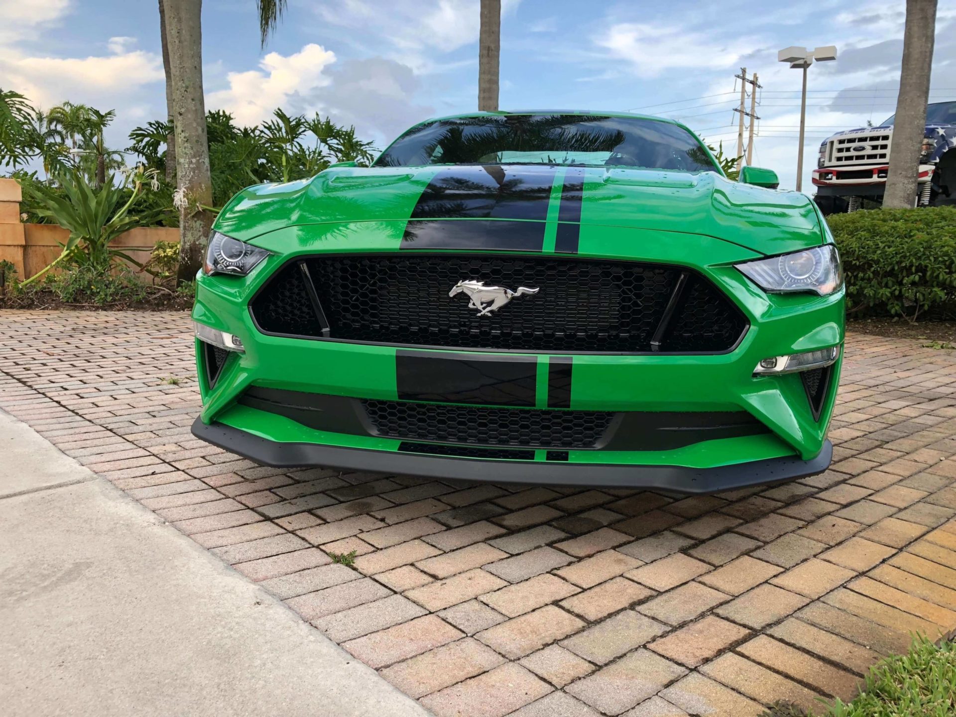 IMG_9237 2019 Mustang GT Need for Green