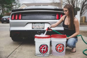 adam's polishes 2 bucket wash mustang