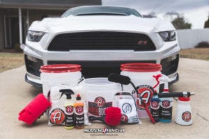 adam's polishes detail kit mustang