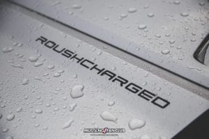 roushcharged mustang