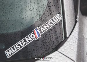 adam's polishes mustangfanclub