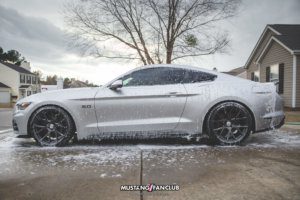 how to detail my mustang adam's polishes