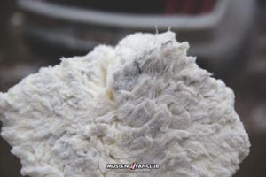 adam's polishes dirty wash pad