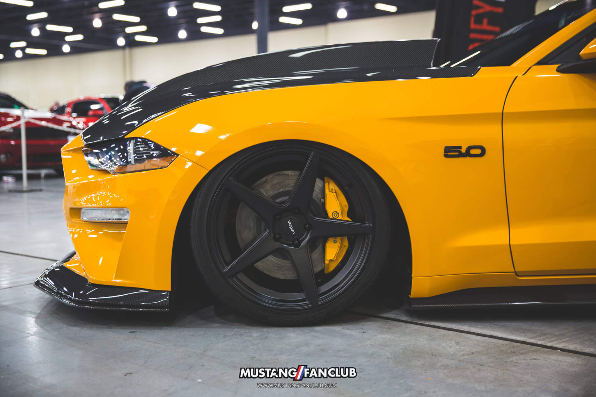 IMG_2437 ponies in the smokies 2018 modify my stang