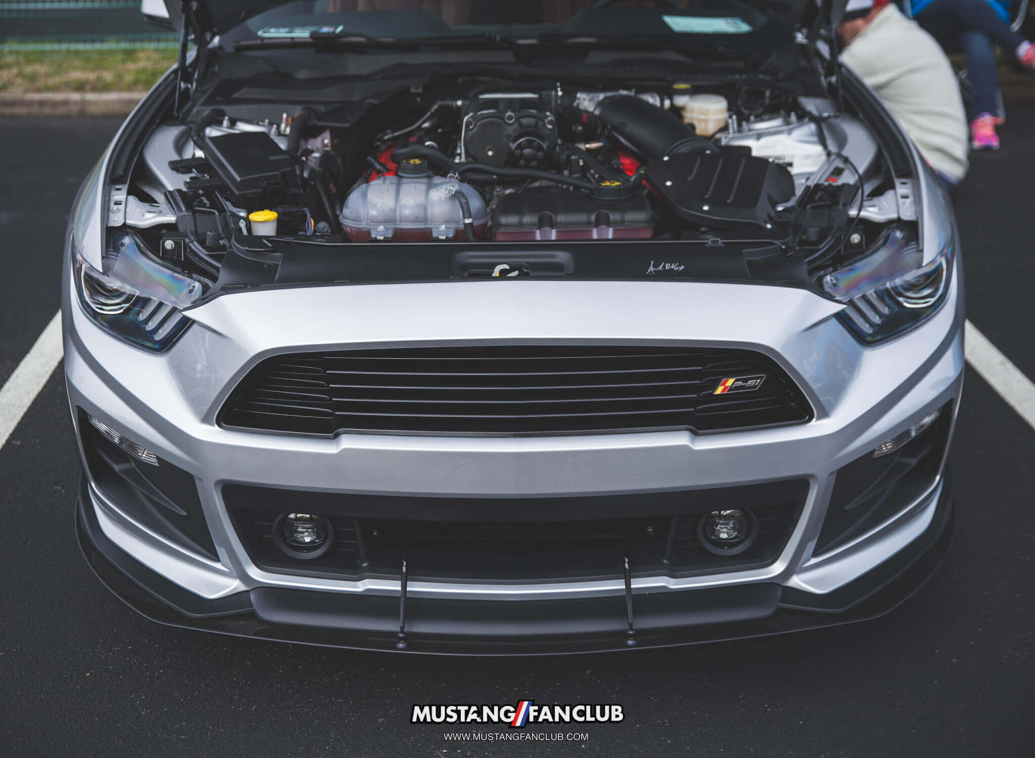 IMG_2442 ponies in the smokies 2018 roush p51
