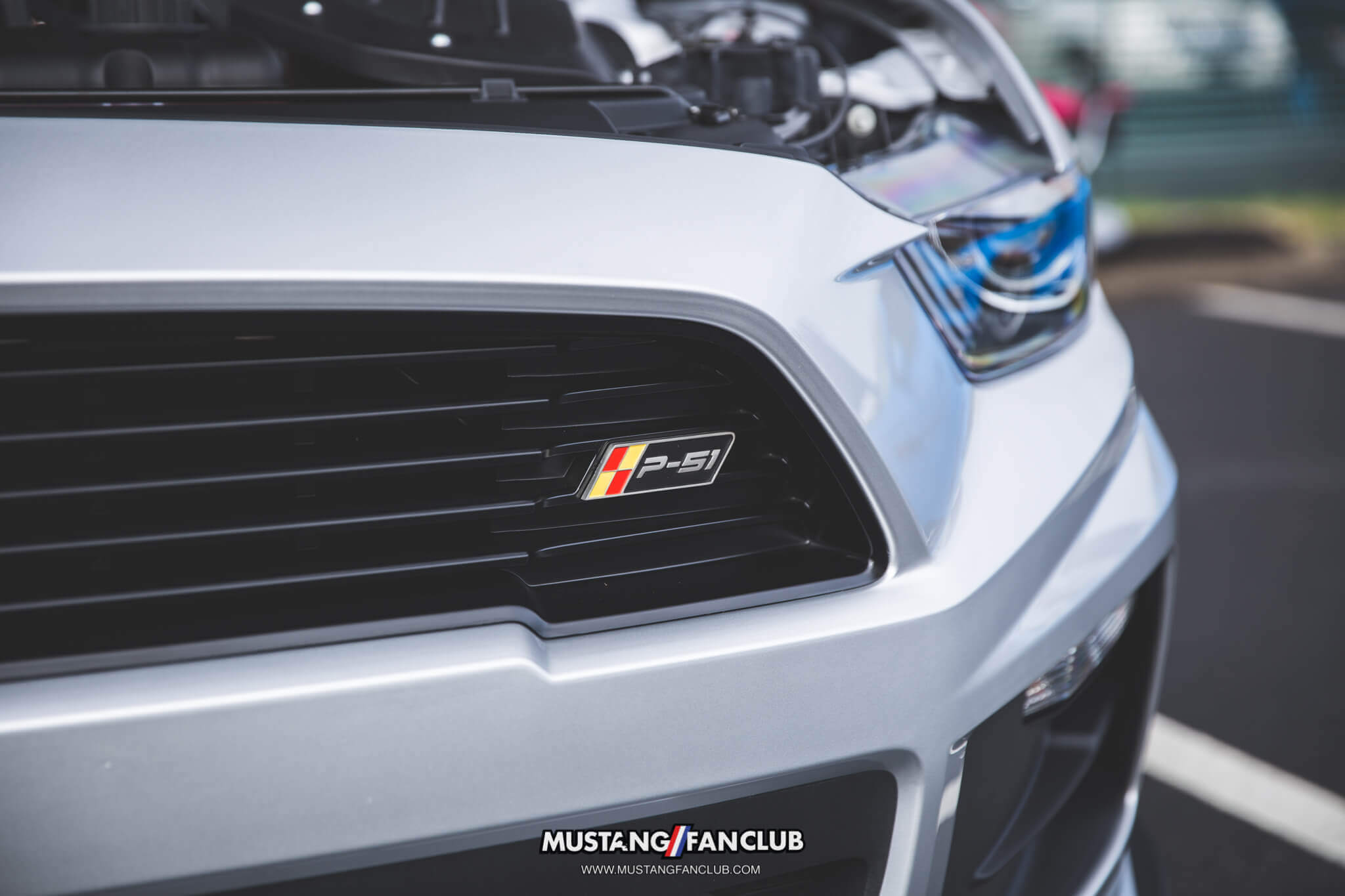 IMG_2444 ponies in the smokies 2018 roush p51
