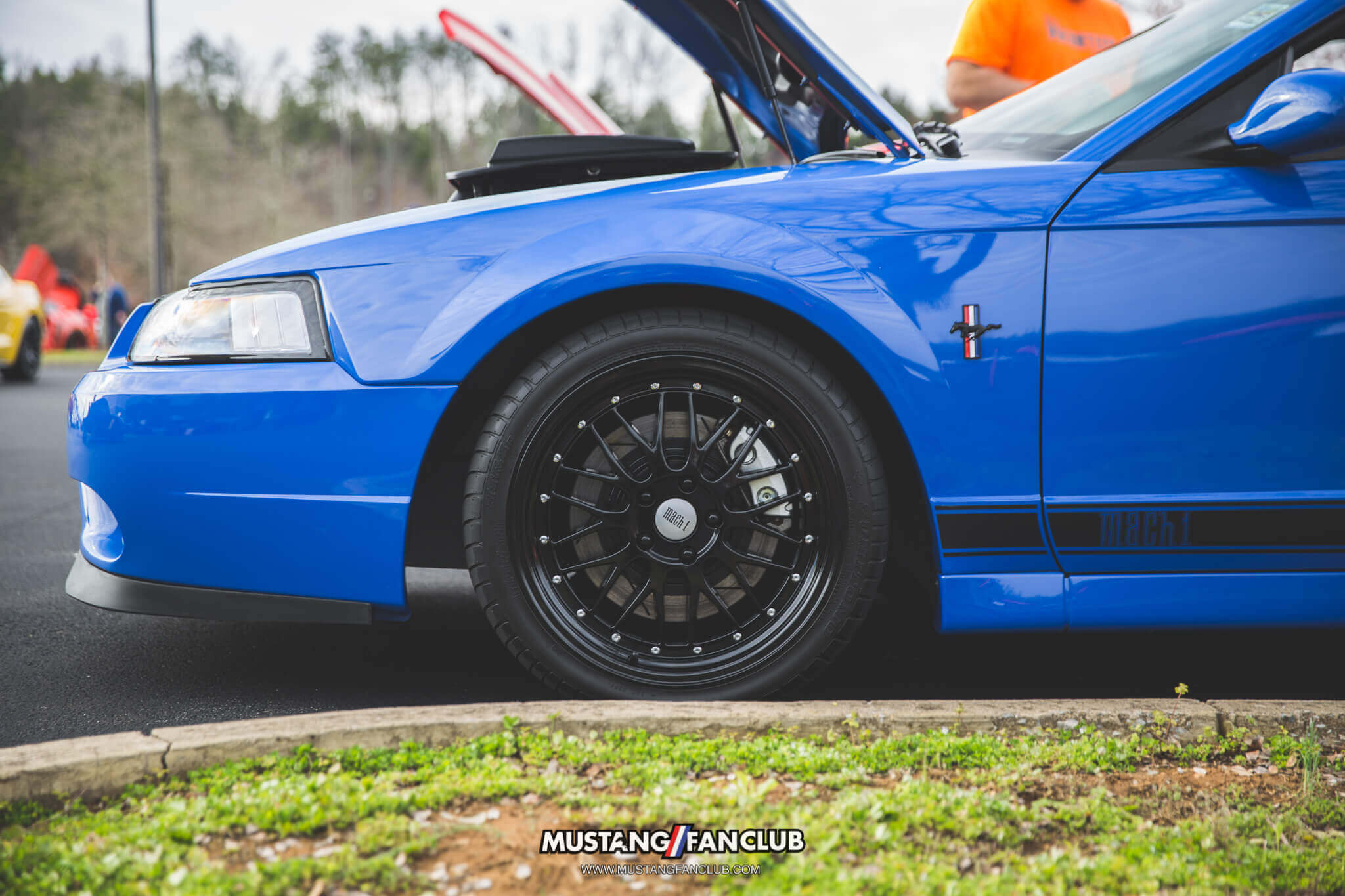 IMG_2460 ponies in the smokies 2018 mach 1