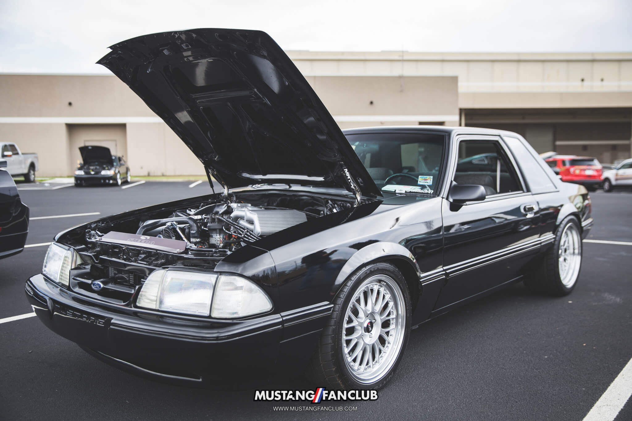 IMG_2488 ponies in the smokies 2018 foxbody